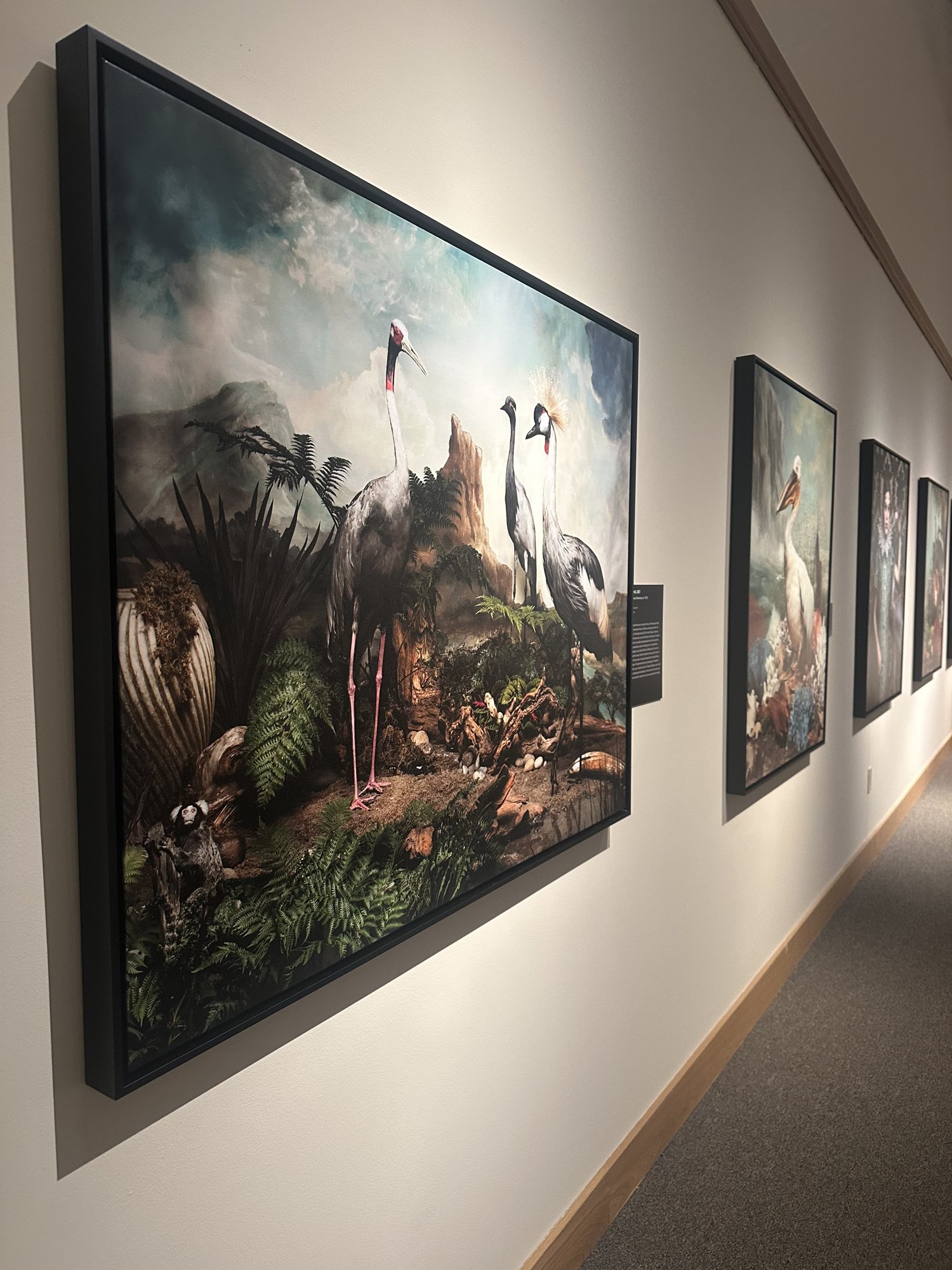 Installation view, Currents